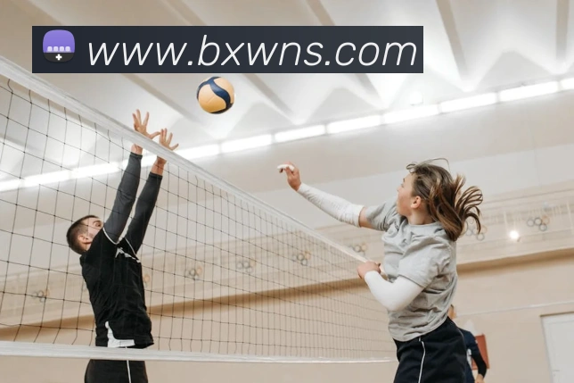 澳门威尼斯官网服务体系